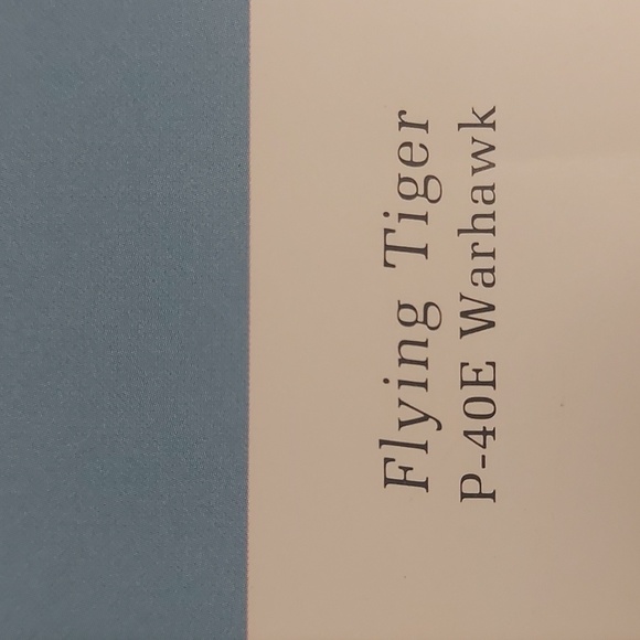 Flying Tiger AVG P-40E Warhawk Print - Picture 4 of 6